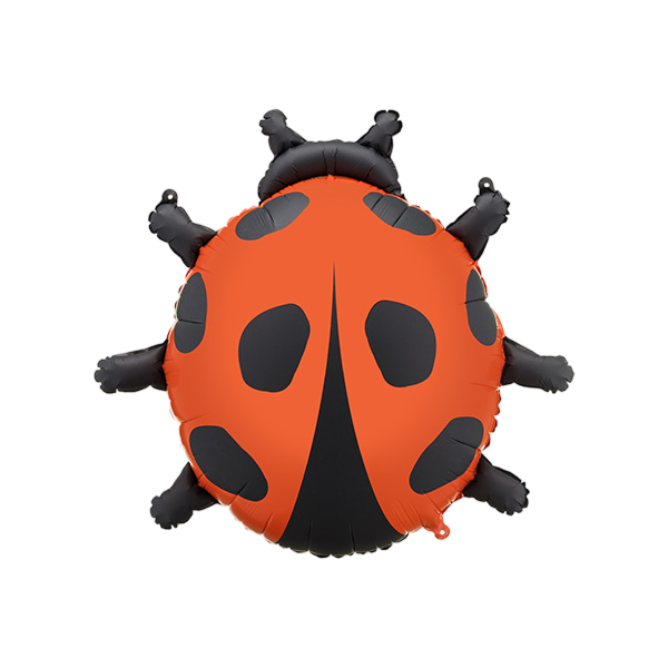 FB287<br>Supershape Ladybug